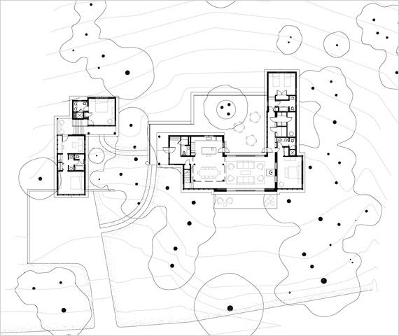 Timber Wood Home in Natural Courtyard Setting