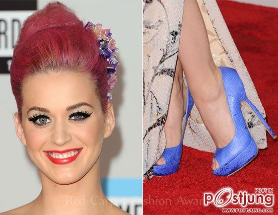 american music award 2011 Red Carpet