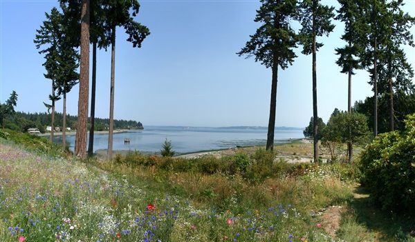 Waterfront House Plans - Luxury Waterfront Home for Sale on Bainbridge Island, WA