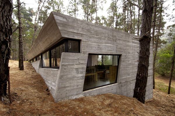 Amazing Concrete House Plan for a Rustic Forest Home in Argentina