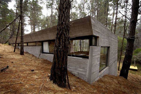 Amazing Concrete House Plan for a Rustic Forest Home in Argentina