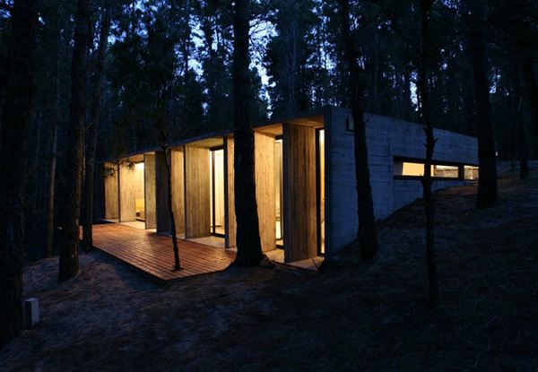 Amazing Concrete House Plan for a Rustic Forest Home in Argentina