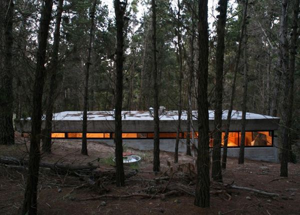 Amazing Concrete House Plan for a Rustic Forest Home in Argentina