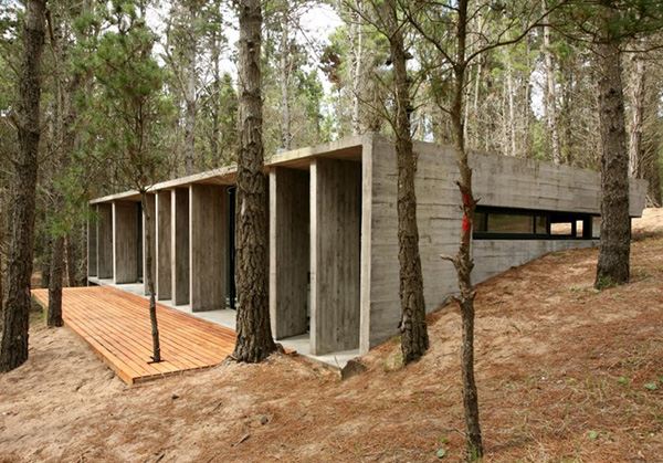 Amazing Concrete House Plan for a Rustic Forest Home in Argentina