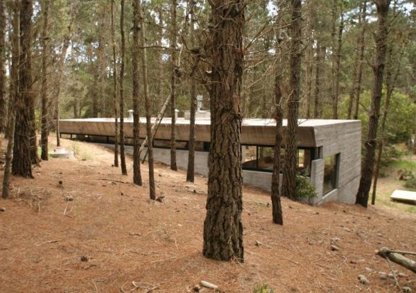 Amazing Concrete House Plan for a Rustic Forest Home in Argentina