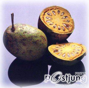 ภาพสวยๆ สำหรับ มะตูม BY: Ladies Miranda