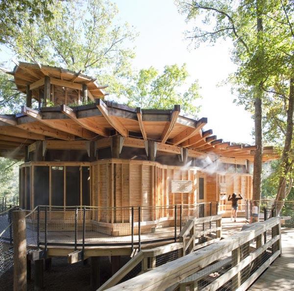 Timber Home Design &ndash; Lakefront Treehouse