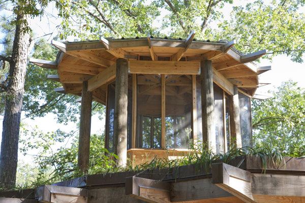 Timber Home Design &ndash; Lakefront Treehouse