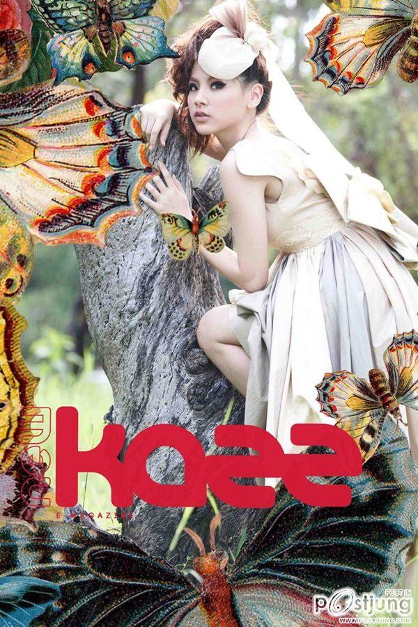 ใบเฟิร์น..ธันวา @นิตยาสารKazz