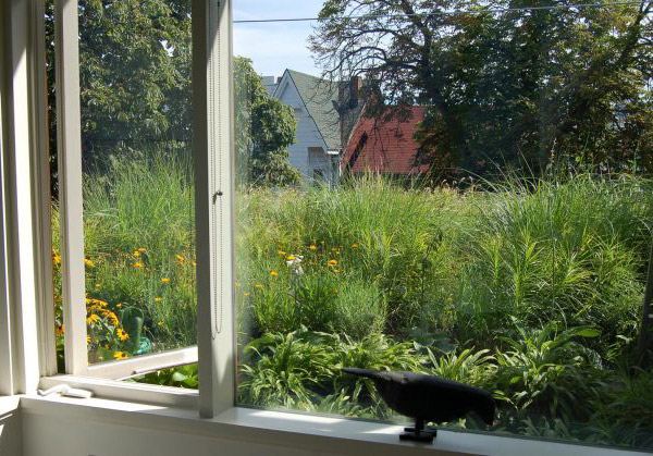 Rooftop Garden Home Design in Toronto, Canada