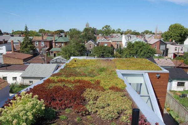 Rooftop Garden Home Design in Toronto, Canada