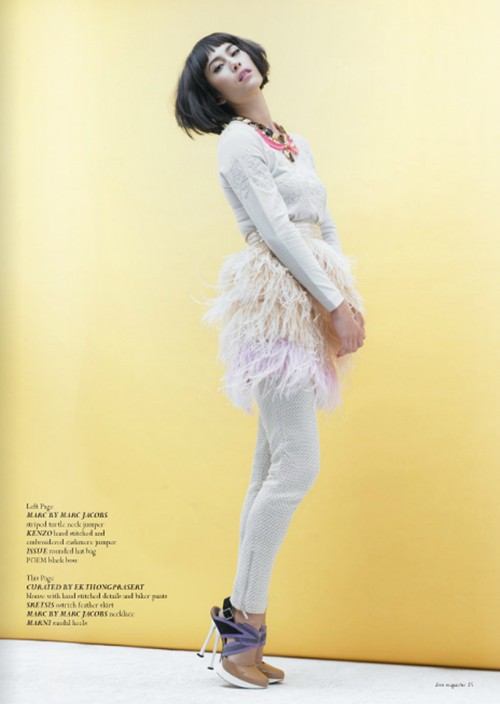 พอลล่า เทเลอร์ @ DONT MAGAZINE Nov/Dec 2011