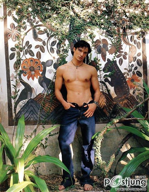 รวมมิตรสักถ้วยมะ