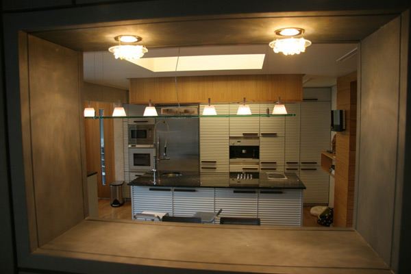 Courtyard House Designs - Urban Home with Natural Oasis