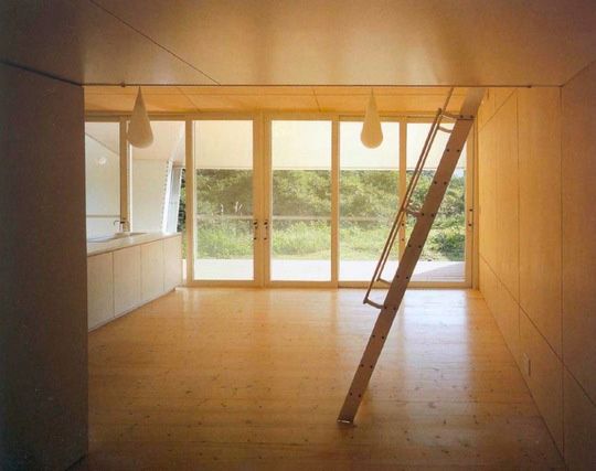 Small Home Design Ideas - metal clad house with wood interior