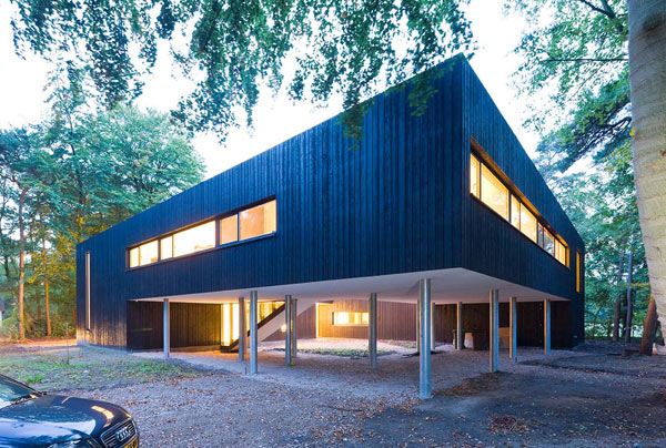 Innovative Forest Architecture enables constant contact with the forest!