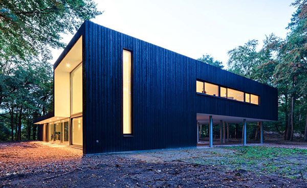 Innovative Forest Architecture enables constant contact with the forest!