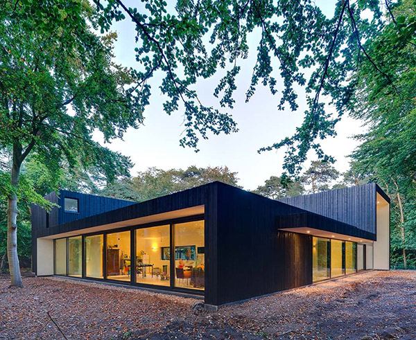 Innovative Forest Architecture enables constant contact with the forest!