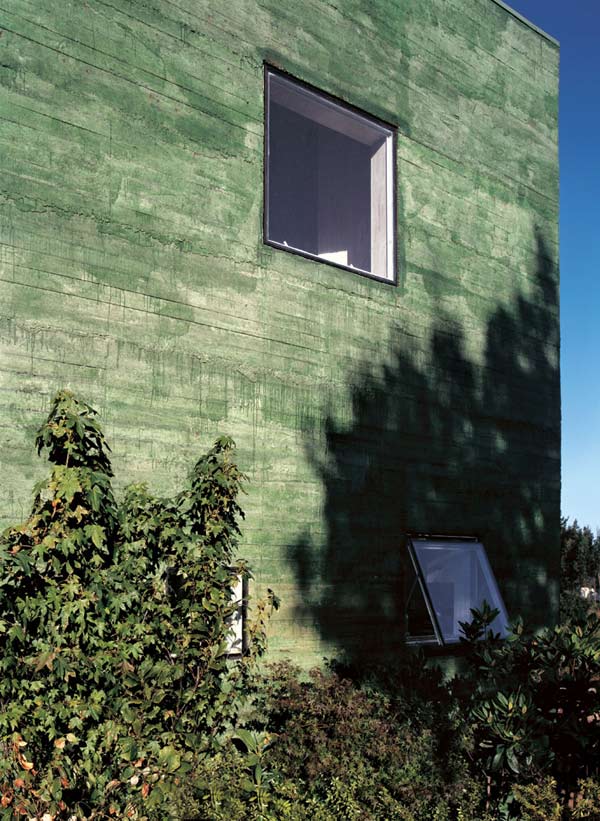 Vertical House Plan For Family Living in Chile