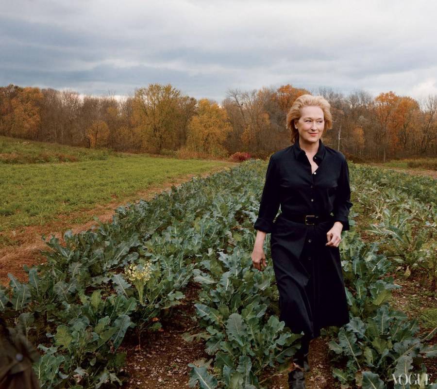 Meryl Streep @ Vogue US January 2012