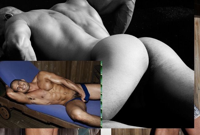 TODD SANFIELD