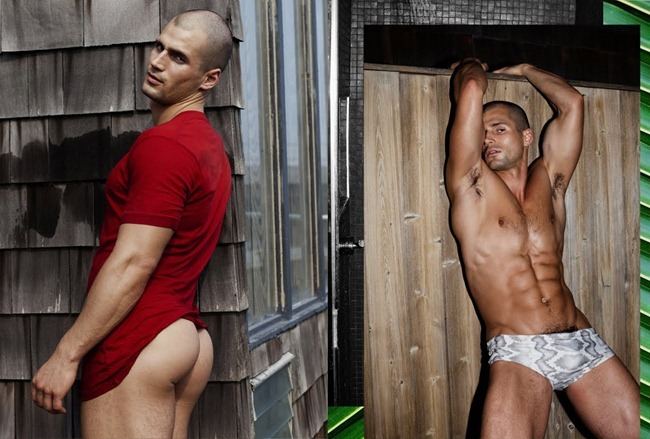 TODD SANFIELD