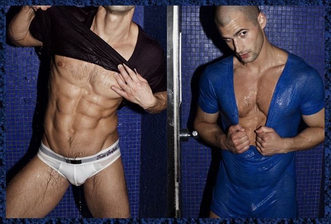 TODD SANFIELD