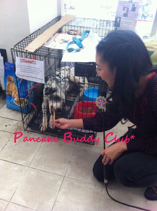 พี่ แพนเค้ก  กับงาน การ กุศล 15