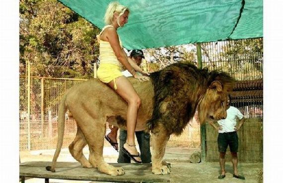 รวมรูปคนขี่หลังสัตว์...น่ารั๊ก~น่ารัก ^^