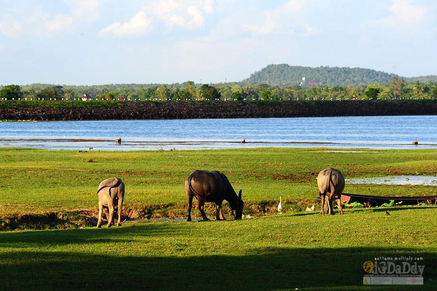 ทะเลสาบบุรีรัมย์