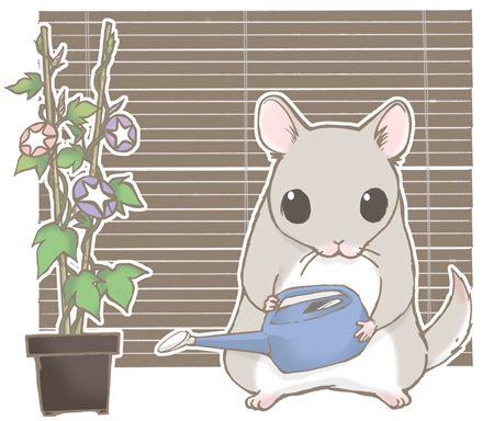 คนรักการ์ตูน 12 อาณาจักรเทพยุทธ์