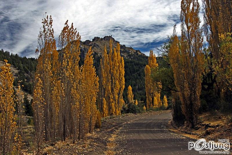 Autumm in Argentina