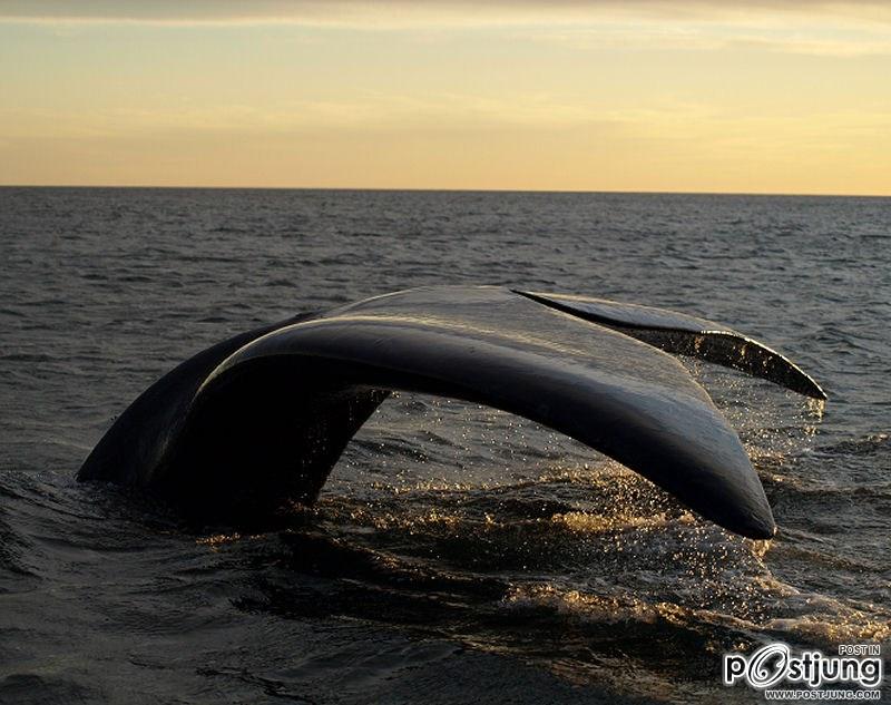 มาเที่ยวประเทศ Argentina กันเถอะครับ..