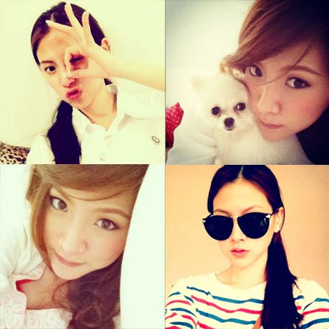 ใบเฟิร์น