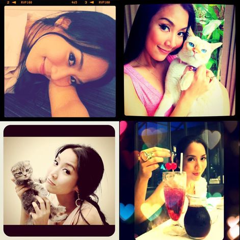 จั๊กจั่น