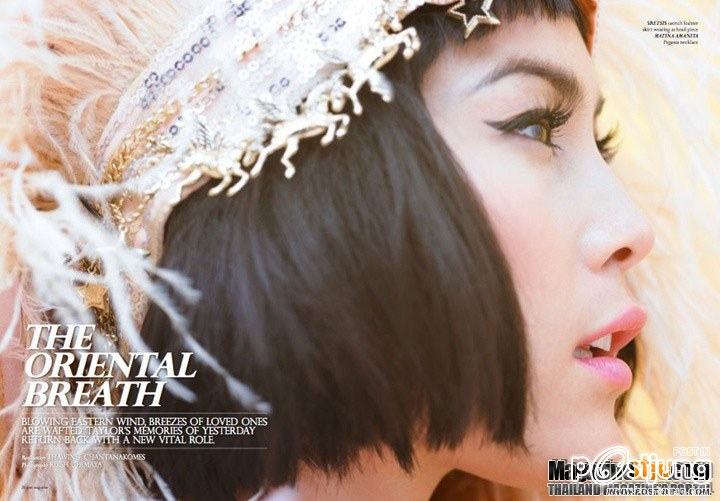 พอลล่า เทเลอร์ จาก นิตยสาร DONT MAGAZINE