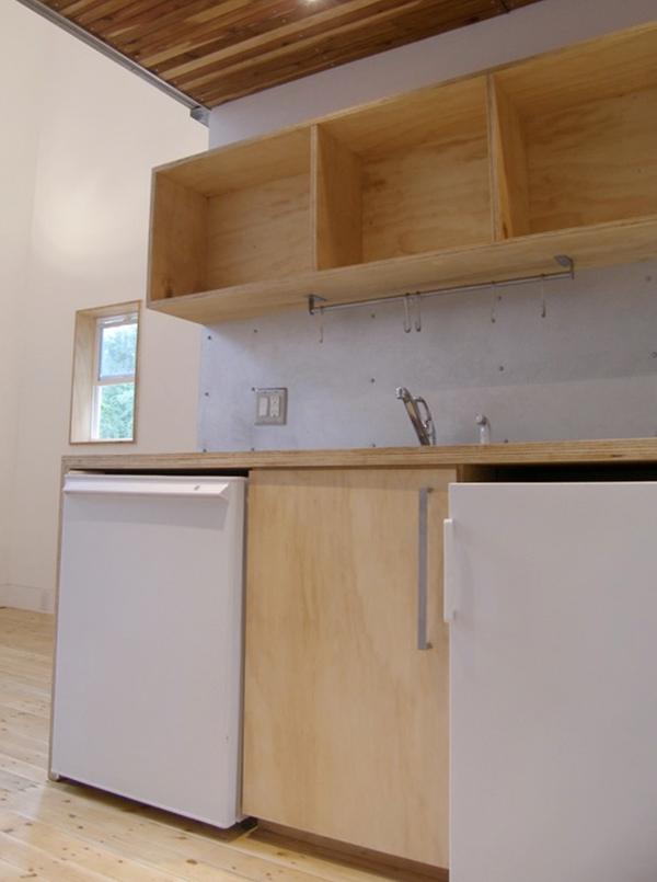 Loft House Designs on a Budget - design photos and plans