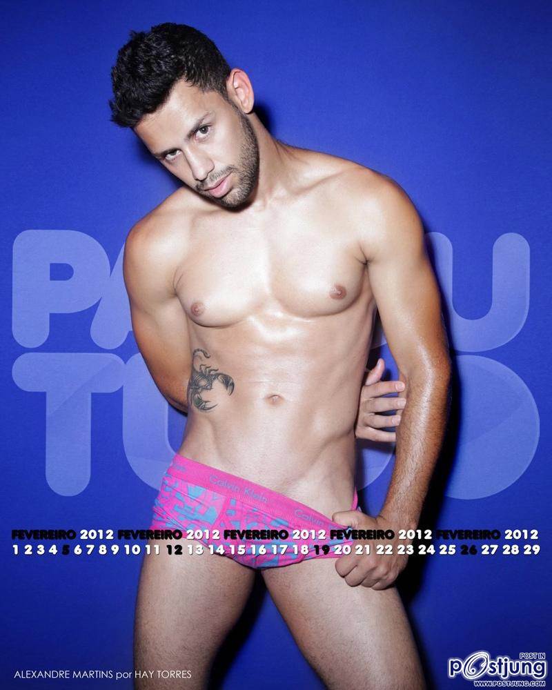 ParouTudo present Sexy Brazil 2012 Calendar