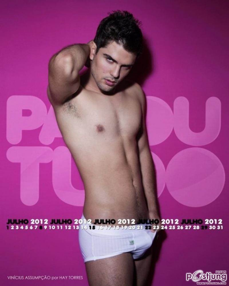 ParouTudo present Sexy Brazil 2012 Calendar