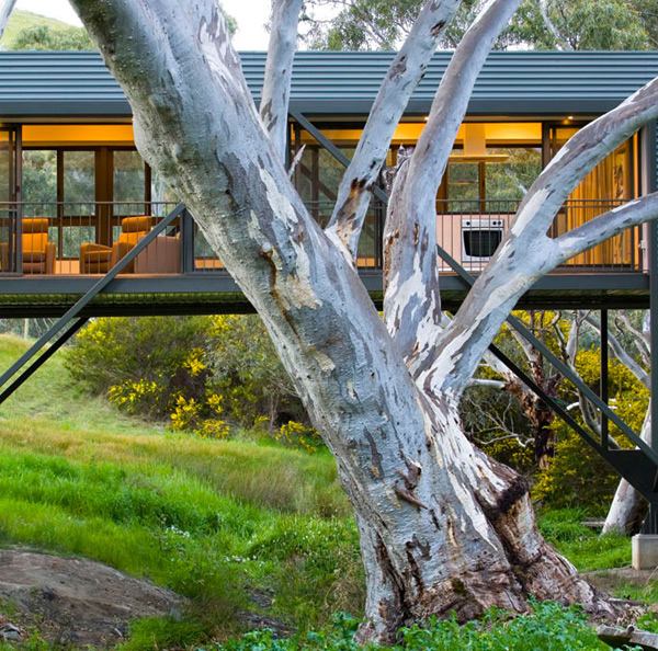 Australian Architect "Bridges" the Gap between Innovation and Architecture – Bridge House