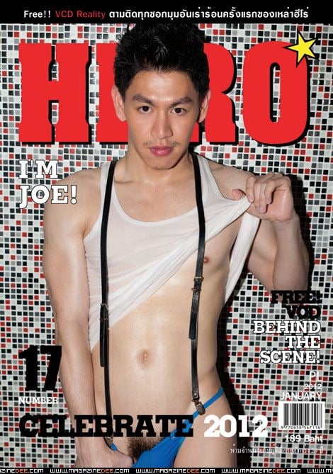 HERO vol. 2 no. 17 January 2012