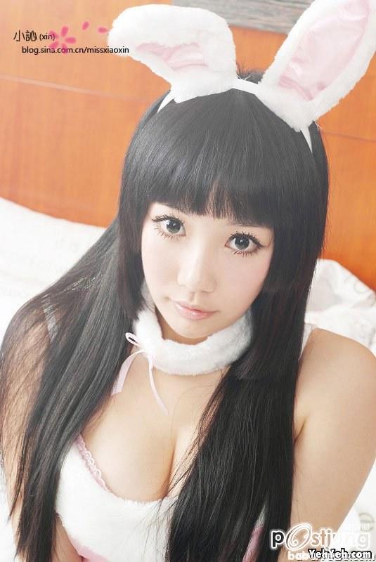 กระต่าย