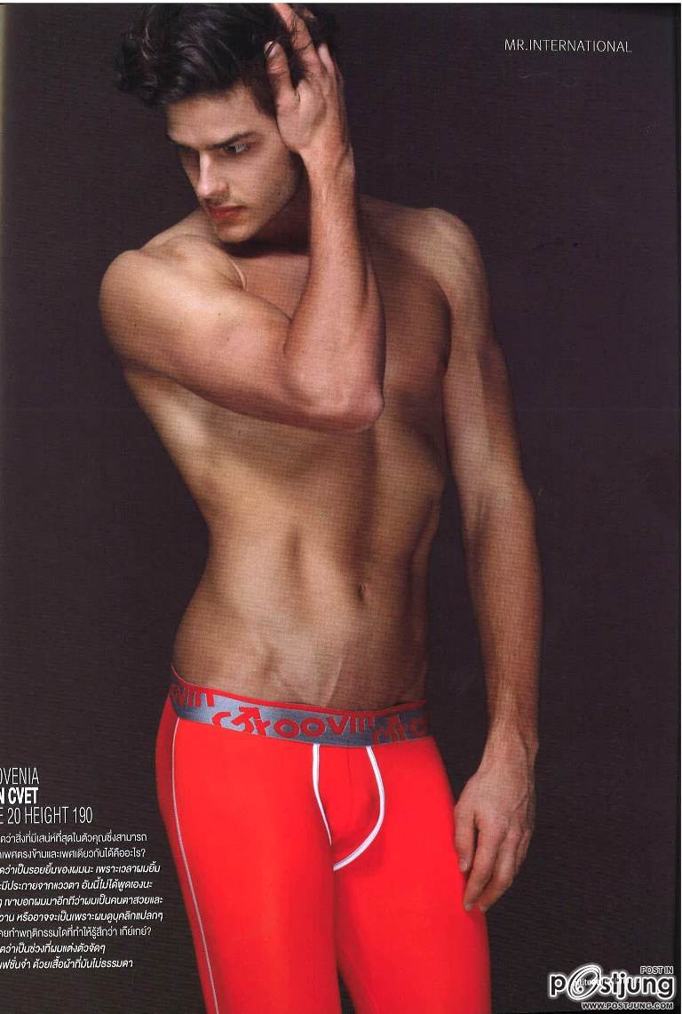 เก็บตกหนุ่มเนื้อแน่น Mr.Intenational 2011