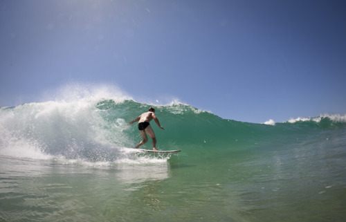 wow นักกีฬา