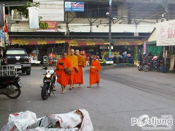 จูเนียร์เดอะสตาร์และพี่ชาย(เจแปน) เข้าพิธีอุปสมบท