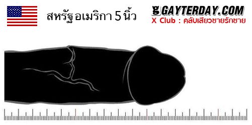 ตาราง ขนาดเฉลี่ยอวัยวะเพศชายทั่วโลก 40ประเทศ (ไม่มีประเทศไทย)