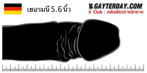 ตาราง ขนาดเฉลี่ยอวัยวะเพศชายทั่วโลก 40ประเทศ (ไม่มีประเทศไทย)