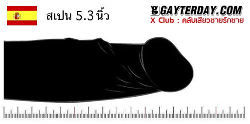 ตาราง ขนาดเฉลี่ยอวัยวะเพศชายทั่วโลก 40ประเทศ (ไม่มีประเทศไทย)