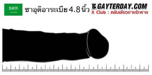 ตาราง ขนาดเฉลี่ยอวัยวะเพศชายทั่วโลก 40ประเทศ (ไม่มีประเทศไทย)