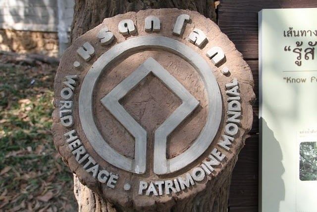 พาชมผืนป่าดงใหญ่และละเลิงร้อยรู บุรีรัมย์ค่ะ